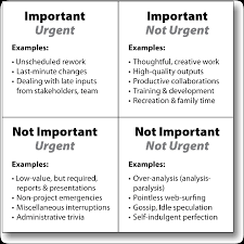 Eisenhower Scale Marketing Plan Infographic Job Interview Preparation Leadership Management