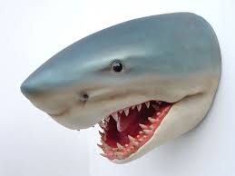 Shark Head Mount Wall Decor Heykel Balik Yuzler