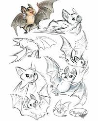 Pin By Claude Contesse On Letuchie Myshki Animal Sketches Animal Drawings Animal Art