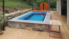 Original Endless Pool With Adjacent Sauna Endless Pool Small Swimming Pools Pool Decks