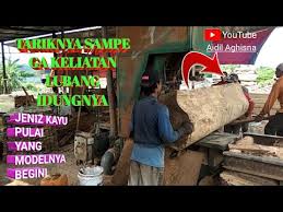 Need to translate kayu balak from malay? Kayu Balak In English Kayu Balak Logging Solomon Island Youtube Savesave Kayu Balok For Later Nyaman