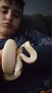 Python bracelet for travel companion