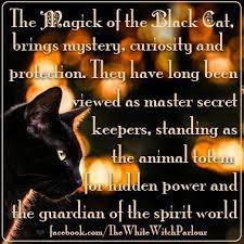 The Magick Of The Black Cat Black Cat Magick Animal Spirit Guides