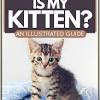 This kitten cat growth chart will help you get an idea about what to expect at which stage of the growth of the kitten. Https Encrypted Tbn0 Gstatic Com Images Q Tbn And9gcr8phj6fq2xpcweszpgjiezzus5orvqmzq9supdtxr 2haxf1is Usqp Cau
