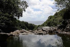 Makahiku Falls Infinity Pool Maui Maui Infinity Pool Scenic