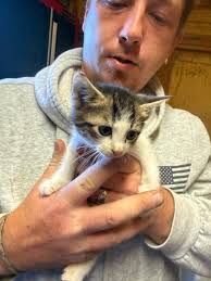 Give us a call today