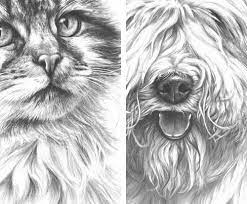 You can easily control the texture, edges, and thickness using the settings tool. Drawing From Line To Life Drawing Fur How To Draw Fur Animal Drawings Drawings