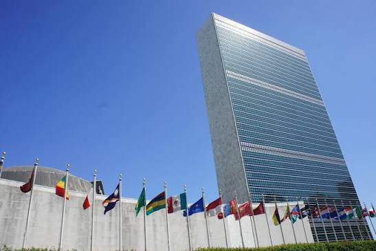 Explainer: che cos'� e come funziona l'ONU