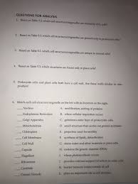 Organelle present only in animal cell. Questions For Analysis 1 Based On Table 5 3 Which Chegg Com