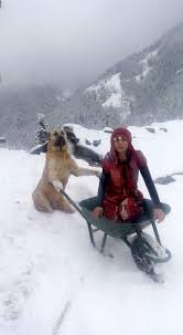 Girl And Her Dog Rescue A Mother Goat And Her Newborn Baby Kangal Kopegi Komik Hayvan Hayvan