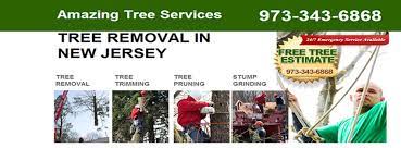 Bbb rating and accreditation information may be delayed up to a week. Amazing Tree Services Home Facebook