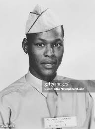 6,448 Pilot Uniform Stock Photos, High-Res Pictures, and Images