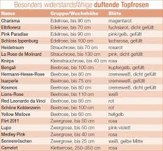 Pflegetipps Fur Topfrosen Tipps Pflege Dauerbluher