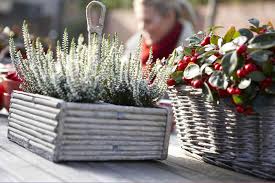 Plantes Vertes Pour Balcon Et Terrasse En Hiver La construction, étape par étape, d'un bac à plantes avec des planches de sapin et des feuilles de zinc. plantes vertes pour balcon et terrasse