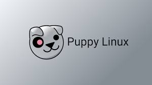 Dale click al play y míralo en vídeourl: Puppy Linux 9 5 7 0 Torrents