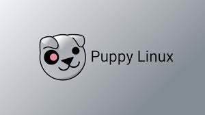Jan 03, 2021 · create a bootable cd, dvd, or usb drive. Puppy Linux 9 5 7 0 Torrents