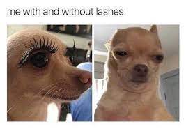 Pin On Hi Lar Ious Ness