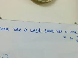 If you don't have any ideas, here are a few hilarious quotes. Five Short White Board Quotes That Will Improve Your Life Letterpile