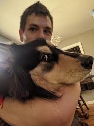 Lost puppy near walnut and geist area