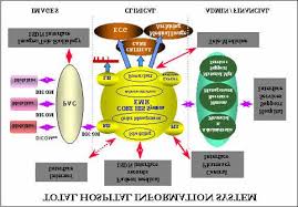 Towards a vision of dedicated & service to the medical and healthcare industry. Total Hospital Information System Adapted From Hussaini 2000 Download Scientific Diagram