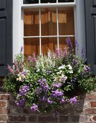 July 29, 2018 by rhoda 31 comments. Finding Beauty Window Boxes Of Charleston South Carolina Swede