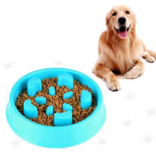 Best slow feeder dog bowl. Pet Fun Feeder Dog Bowl Slow Feeder Bloat Stop Dog Food Bowl Maze Interactive Puzzle Dog Bowl Non Skid Walmart Canada