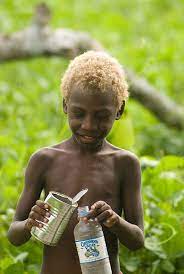 This has been traced to an allele of tyrp1 unique to these people, and is not the same gene that causes blond hair in europe. Case Closed Blonde Melanesians Understood Discover Magazine