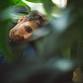 Yoke Lore