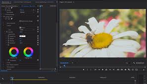 The panoramic files look great on any monitor (as a photo), even when zoomed way in. How To Create The Classic Vhs Look In Adobe Premiere