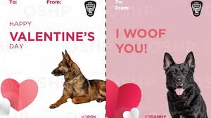 She used my dog as the model! Ohio State Highway Patrol Releases K9 Valentine S Day Cards Wsyx