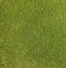Transform your bathroom into a relaxing. About Our Sod Sod Shop