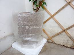 Prepare a pot (or seed tray) with a mixture of peat and a little well sieved soil. Plantes En Pot Protection Contre Le Gel