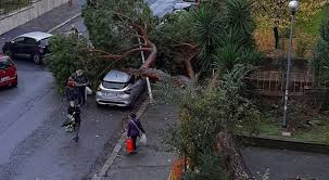 Nei prossimi giorni il tempo previsto sull'italia verrà governato dalla vasta circolazione di bassa pressione che con le sue. Maltempo A Napoli 62enne Muore Schiacciato Da Un Albero