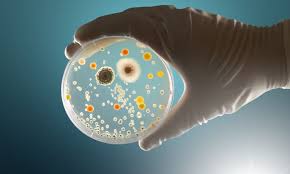 Selon le dr colin tidy sur patient.info, vous devriez voir votre médecin pour une douleur sous les côtes dans les circonstances suivantes: Infection Bacterienne Symptomes Exemples Comment Lutter Contre