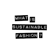 Who started the use of term? What Is Sustainable Fashion Sustainable Fashion Matterz