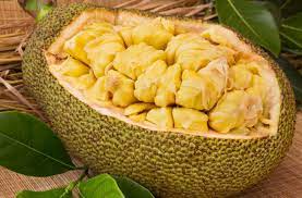 Under its thick, bumpy rind is a stringy flesh that you can eat raw or cooked in a variety of dishes. What Is Jackfruit And Is It Healthy Health Essentials From Cleveland Clinic