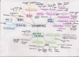 Help Im A Medstudent Summary Of Antibiotics Split Up Into The Part Of The Bacteria That The Antibiotics Affect This Is Not An E Pa School Study Antibiotic