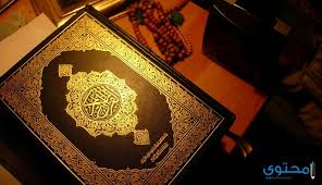 رؤية القرآن في الحلم للمتزوجة، إشارة على صلاحها ومراعاتها لزوجها. ØªÙØ³ÙŠØ± Ø±Ø¤ÙŠØ© Ø§Ù„Ù…ØµØ­Ù ÙÙ‰ Ø§Ù„Ù…Ù†Ø§Ù… Ù„Ø§Ø¨Ù† Ø³ÙŠØ±ÙŠÙ† Ù…ÙˆÙ‚Ø¹ Ù…Ø­ØªÙˆÙ‰