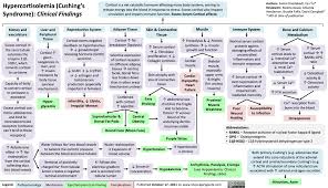 Image result for Cushing Response