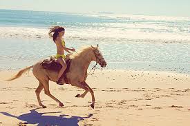 Horseback Riding On The Beach Is Fun Perhaps Not In A Bikini Though Horses Animals Woman Riding Horse