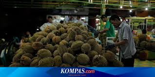 Durian musangking saat ini jadi favorit baru bagi para pecinta durian. Catat 10 Tempat Wisata Durian Petik Dan Makan Sepuasnya Halaman All Kompas Com