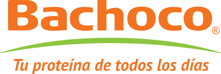 Inicio | Bachoco® Tu proteína de todos los días