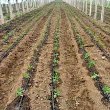 Sistem perparitan dan struktur yang dibina dapat mengalirkan air dengan selamat. Integral Drip Tape Drip Tape Irrigation Chinadrip Irrigation Equipment Co Ltd