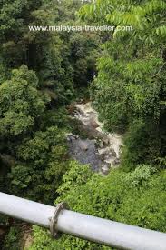 Tour agents and ticket purchase. Tree Top Walk Sungai Sedim Kulim Kedah