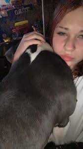 Austin, previously Austin...and Little Bit, previously Rosa enjoying some  much needed sunshine.