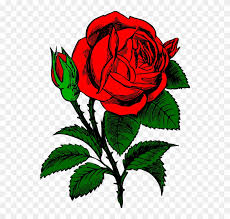 Apple iphone 7 plus 32 128 256gb jet black red silver rose gold unlocked 1y wty. Rose Flowers Drawing 24 Iphone 7 Cases Roses Free Transparent Png Clipart Images Download