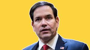 A Complete Guide to Trump's Cabinet Appointees