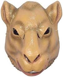 Their humps let them store up to 80 pounds of fat which they can live off for weeks and even months! Camel Hump Day Mask Plastic Animal Costume Child Halloween Accessory Prop Ebay