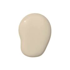 Image result for Beige 1972 Caloric