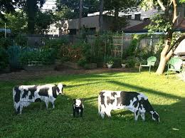 These 10 recommended practices will help your garden flourish. South Wedge Victory Garden Startseite Facebook